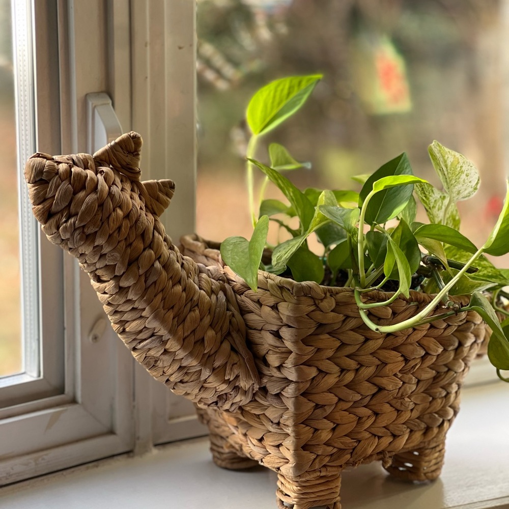 Woven Dinosaur Basket - Nursery Decor of Plant Holder